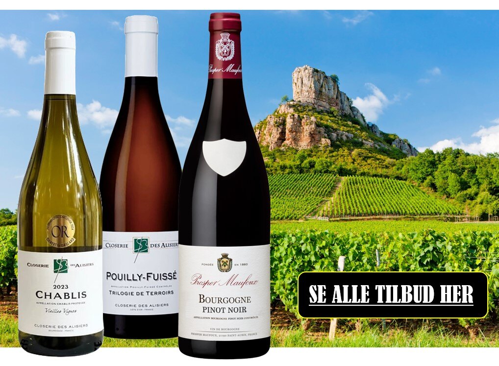 Bourgogne til blog