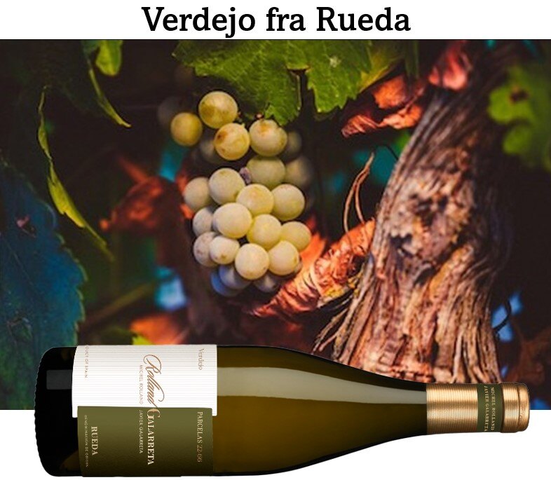 Rueda Verdejo