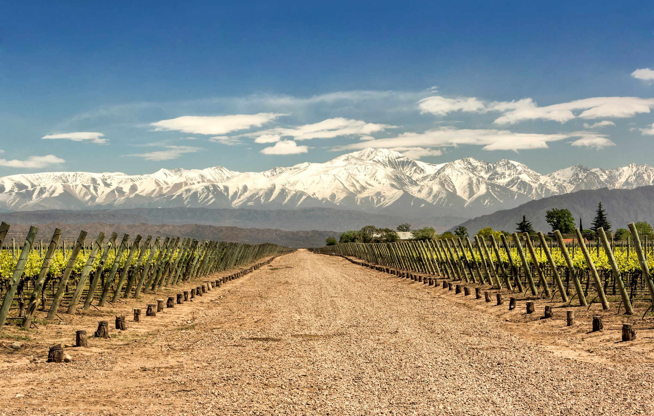 Vinmarker i mendoza